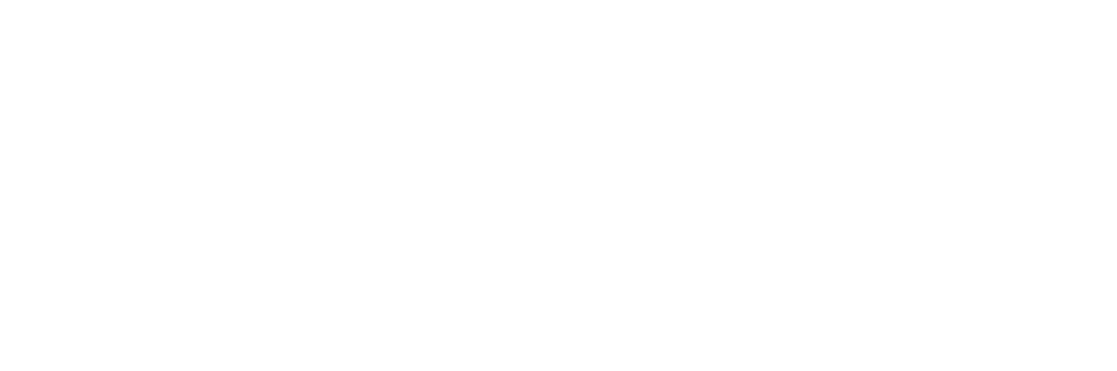 SpendExplorer_Logo_White